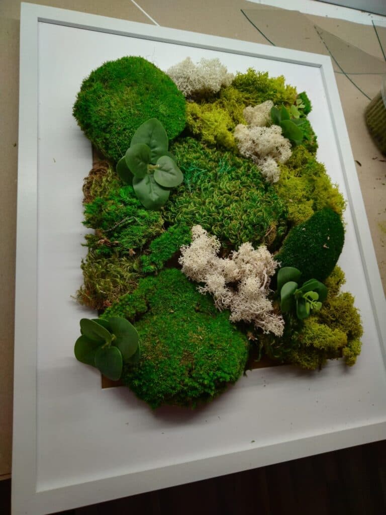 Aranžování interiéru obchodu